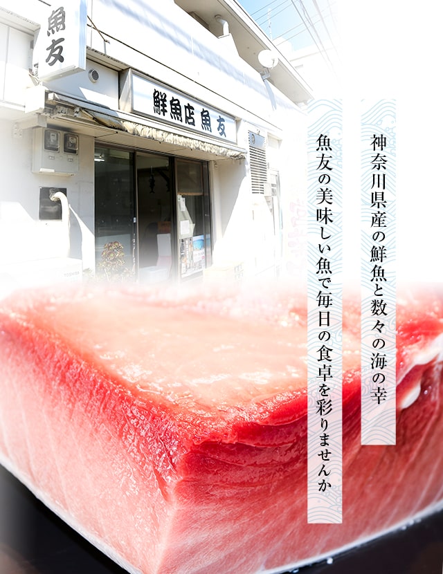 鮮魚店の魚友 神奈川県産の鮮魚 湘南しらす生麦