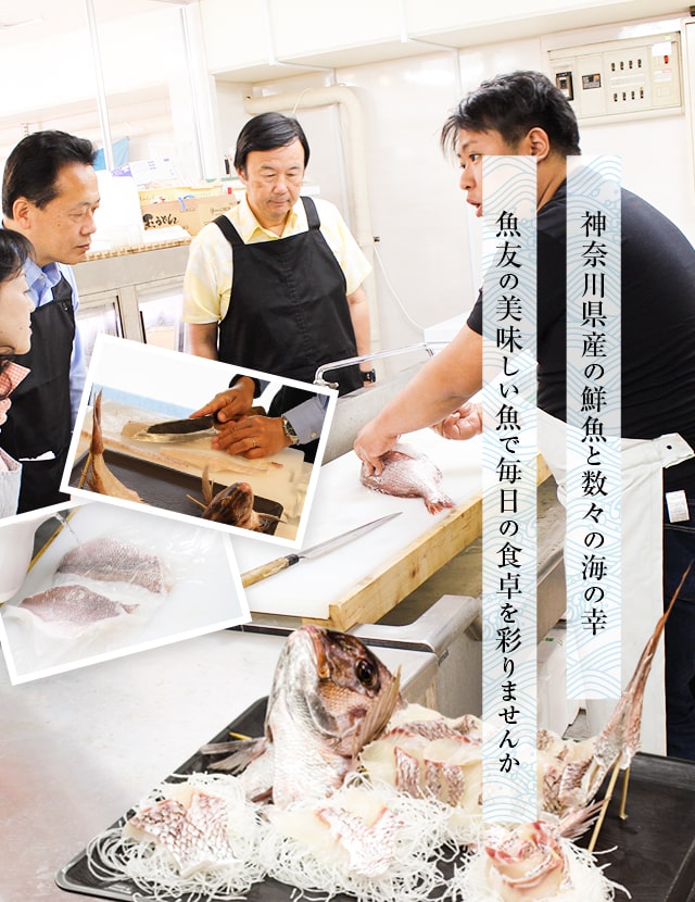 鮮魚店の魚友 神奈川県産の鮮魚 湘南しらす生麦